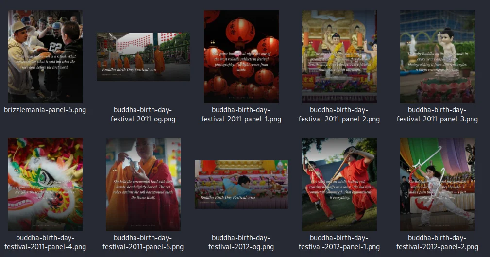 Grid of Cathartic Camera affirmation card source images — Buddha birth day festival photography